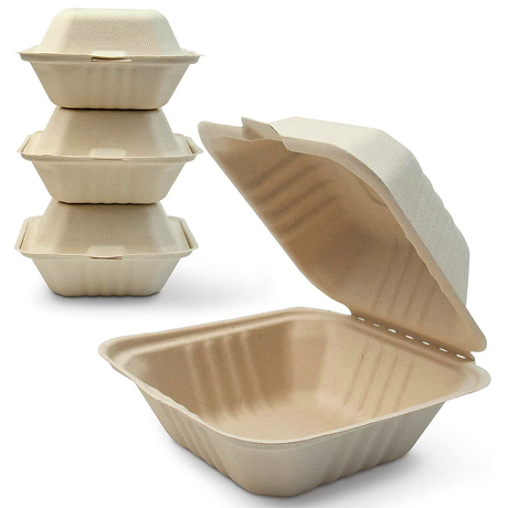 Bagasse de burger à récipient d'emballage de restauration rapide de la canne à sucre 