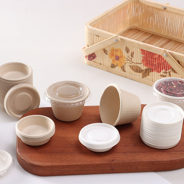 Fabricant de tasses de trempage de canne à sucre biodégradables respectueuses de l'environnement