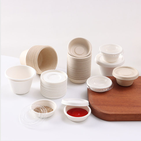 Fabricant de tasses de trempage de canne à sucre biodégradables respectueuses de l'environnement